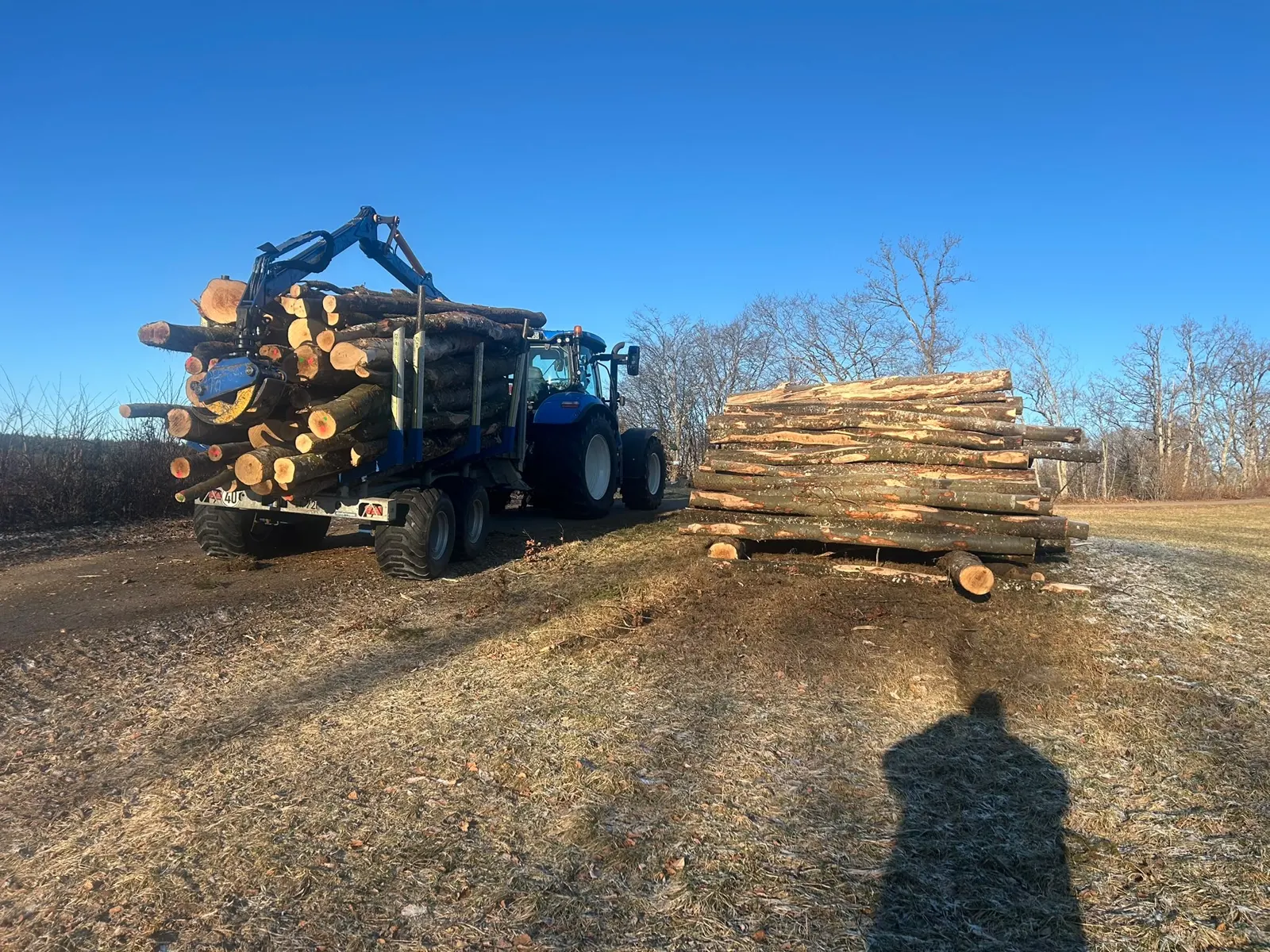 Traktor mit Rückewagen voller Stammholz neben einem Holzpolter